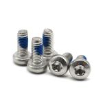 Stainless Steel DIN Pan Head Nylon Torx Screw Locking Screws