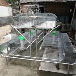 12 Mums Farm Rabbit Cage Hot Dipped Galvanized Steel Material Sliver / Green