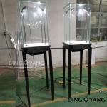 Showroom Lighted Jewelry Display Case