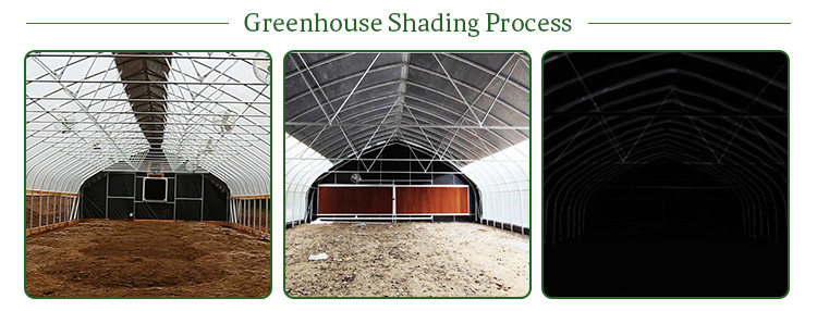 0.13mm Black White Film Light Deprivation Greenhouse With Blackout System