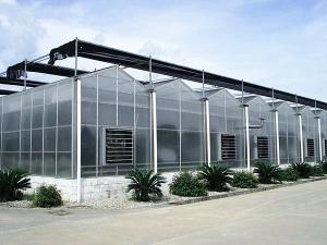 Wholesale Venlo Type PC Sheet Greenhouse Aluminium Alloy Roof Top Height 4.5m-8.0m from china suppliers