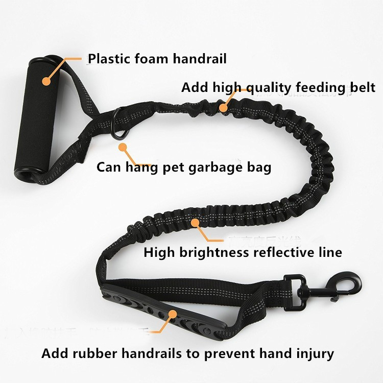 kitten lead