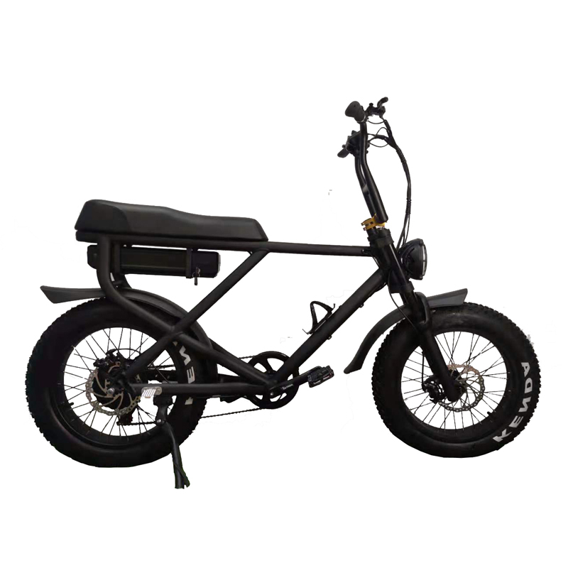 Disc Brake Electric Bike 2022 Version Snow Beach Fast Speed Customized E Bicycle 2 Seats