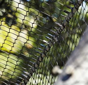 Wholesale Stainless Steel Wire Rope Mesh X tend wire rope mesh AISI 316L from china suppliers