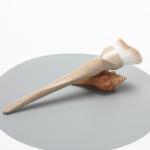 Degradable Handle ECO Friendly Makeup Brush Without Ferrule For Powder