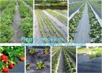 mesh bag,insect net,anti hail net,weed mat,Polyester fiberglass anti insect net
