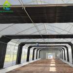 Agricultural Seeding Light Deprivation Blackout Single-span Film Greenhouse Tent