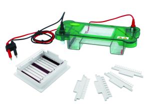Wholesale Horizontal Agarose Gel Electrophoresis Equipment 78×100mm Gel Size Jy-spbt from china suppliers
