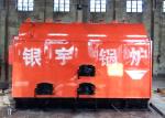 High Efficiency Wood Steam Boiler High Thermal Efficiency Large Output
