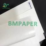White Cup Stock Paper Roll 200gsm + 15PE Single Side Coated For Paper Cup