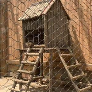 Wholesale Stainless Steel Cable Mesh For Aviary Outdoor Animal Fencing from china suppliers