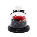 Wedding Decoration 7-8CM Preserved Rose Glass Dome