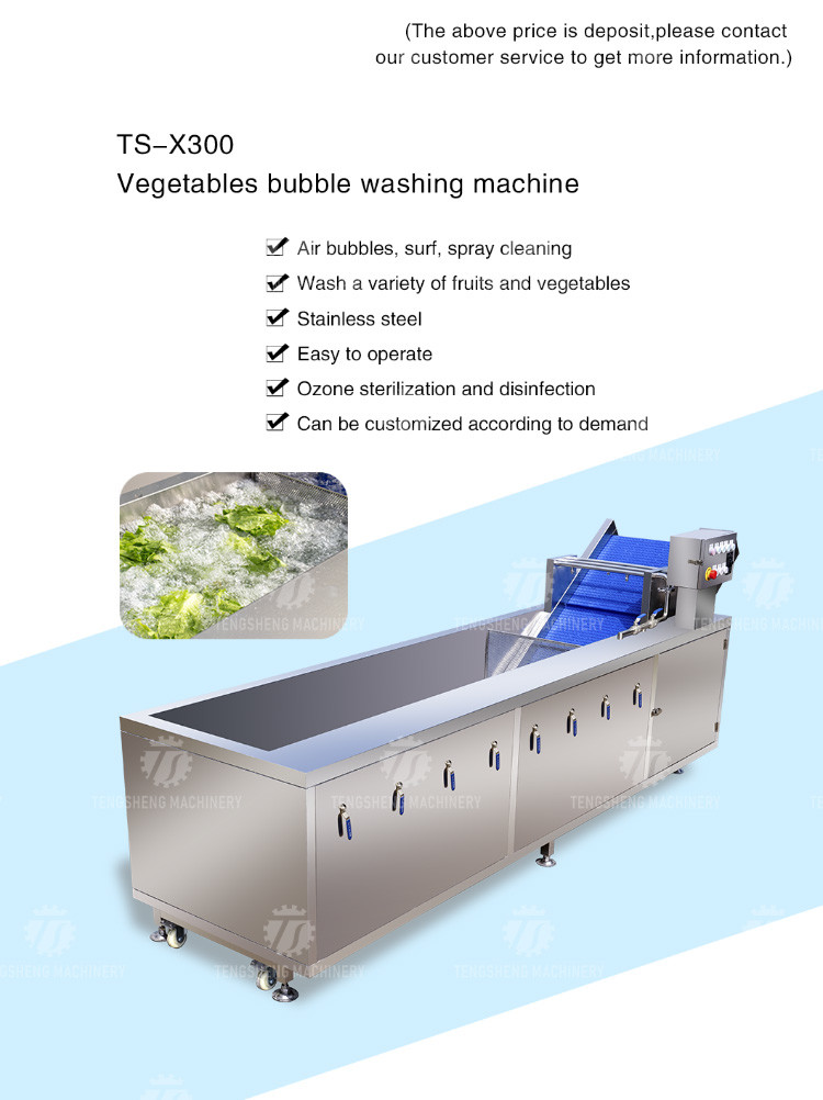 240KG 380V Automatic stainless steel fruit washing machine fruit cleaning equipment