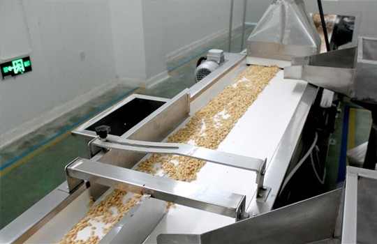 Grade AA Blanched Fried Peanut Kernel , Roasted Traditional Seeds Salted