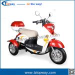 E-Trike for 2 adults/electric tricycle for handicappe/Motorized Shopping