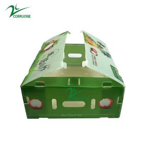 Wholesale Mangosteen PP Corrugated Box Glossy Apple Coroplast Box Customized from china suppliers