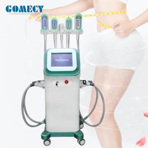 China Fat Freezing Cryolipolysis Slimming Machine 1000W Cellulite Reduction Equipment on sale