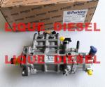 CAT Fuel Pump 317-8021 2641A312 For Caterpillar CAT pump 3178021 317 8021