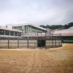 Anti Fatigue Interlocking Rubber Horse Walker Matting