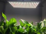 2.7umol UV LED Grow Lights 120W Professional full spectrum lm301B led quantum
