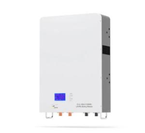Wholesale Wall Mounted Lithium Ion Battery 48V 100ah 5Kwh Powerwall Lifepo4 Battery Pack Smart BMS 6000 Cycle Solar Energy Storage from china suppliers