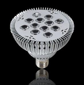 Wholesale High Power PAR38 12W WW/NW/CW color from china suppliers