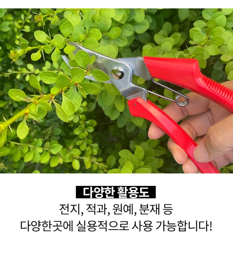 Titanium Pruning Shears Heavy Duty Bypass Pruner Sharpener Handheld Yard Tree Tool