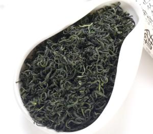 Wholesale Chestnut fragrance sichuan ya 'an high mountain cloud stir-fry green tea rain from china suppliers