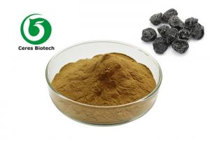 Wholesale 100% Natural Dark Plum Fruit Juice Powder Food Grade Health Care from china suppliers