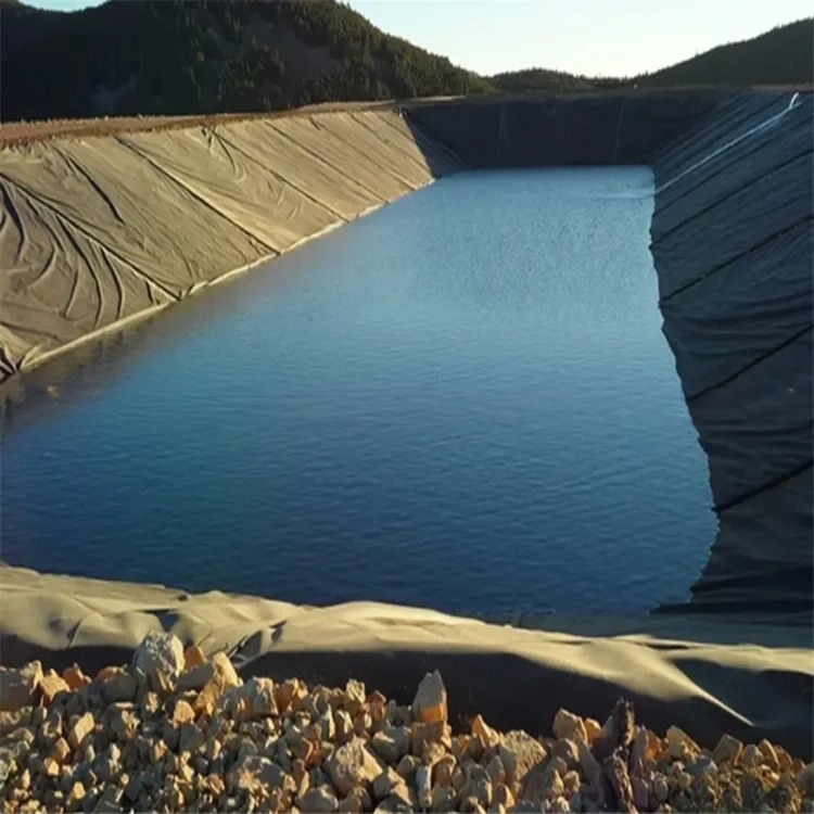 Double Smooth Surface 1mm HDPE Geomembrane for Fish Farming Agricultural Pond Liners