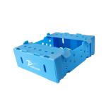 Fruit Corrugated Plastic Packaging Broccoli PP Corrugated Sheet Box