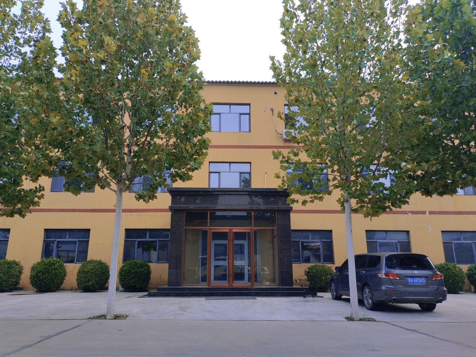 Anping Factory Galvanized Stainless Steel Green PVC Coated Welded Mesh Wire For Tree and Shrub Protection