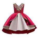 V-Neck Flower Girl Dress Champagne Lace Princess Dress Vestidos De Ropa Niña