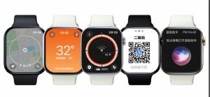 Wholesale Hello Plum Amoled 4G lte Smartwatch Bluetooth Call Waterproof Heart Rate from china suppliers