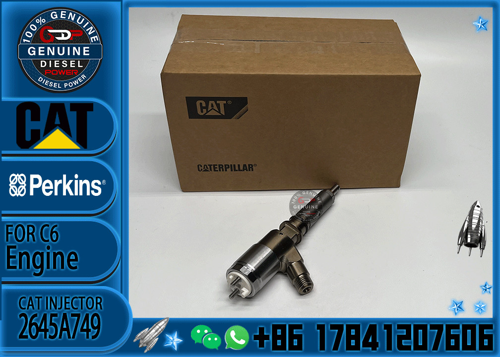 Common Rail Injector 2645A743 2645A749 for 1106D-E66TA Engine