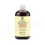 Jamaican Black Castor Oil Hair Growth Shampoo 500ml