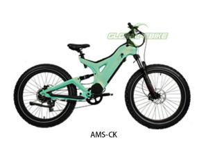 Wholesale 26 Inch E Bike Battery Powered Off Road Bike With 7 Speed Shimano Gears from china suppliers