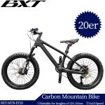 20er Kids Mountain Bike Disc Brake Shimano 10 Speed Bicycle For Children