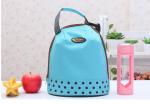 Insulated Soft Cooler Picnic Lunch Box Tote Bottle Bag Freezer Tote Handbag