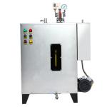26L Water Capacity Steam Generator Boilers propane Energy Savings OEM