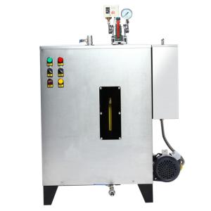 Wholesale Oven Barbecue Cleaning Electric Clean Steam Generator 36kw Thermal Energy Savings from china suppliers