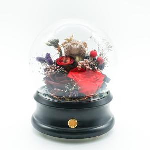 Wholesale Beautiful Preserved Rose Glass Dome Gift For Valentine's Day / Anniversary from china suppliers