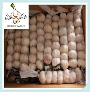 Wholesale New crops fresh garlic white 3.5cm-6.0cm shandong province from china suppliers