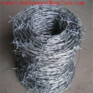 security barbed wire fencing / galvanized barbed wire/double twist barbed wire/ 2 strand 4 point barbed wire mesh