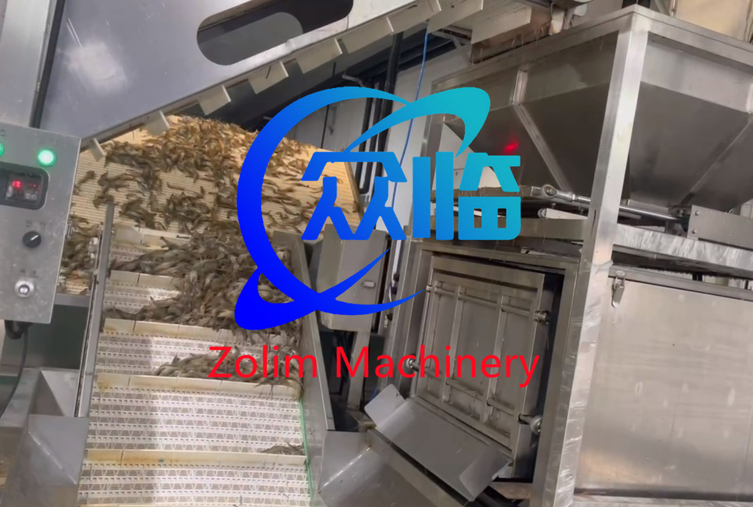 Stainless Steel 304 Automatic Raw Material Weigher, Automatic Fish Weigher