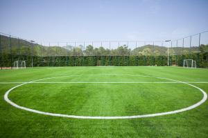 Wholesale Realistic Fake Artificial Grass Deluxe Synthetic Turf Thick Pet Lawn from china suppliers