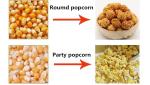Short Cycle Popcorn Equipment Small Size Low Heat Power For Snack Food Factory