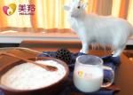 Whole Full Cream Goats Milk Powder Bulk 25kg Protein 45%