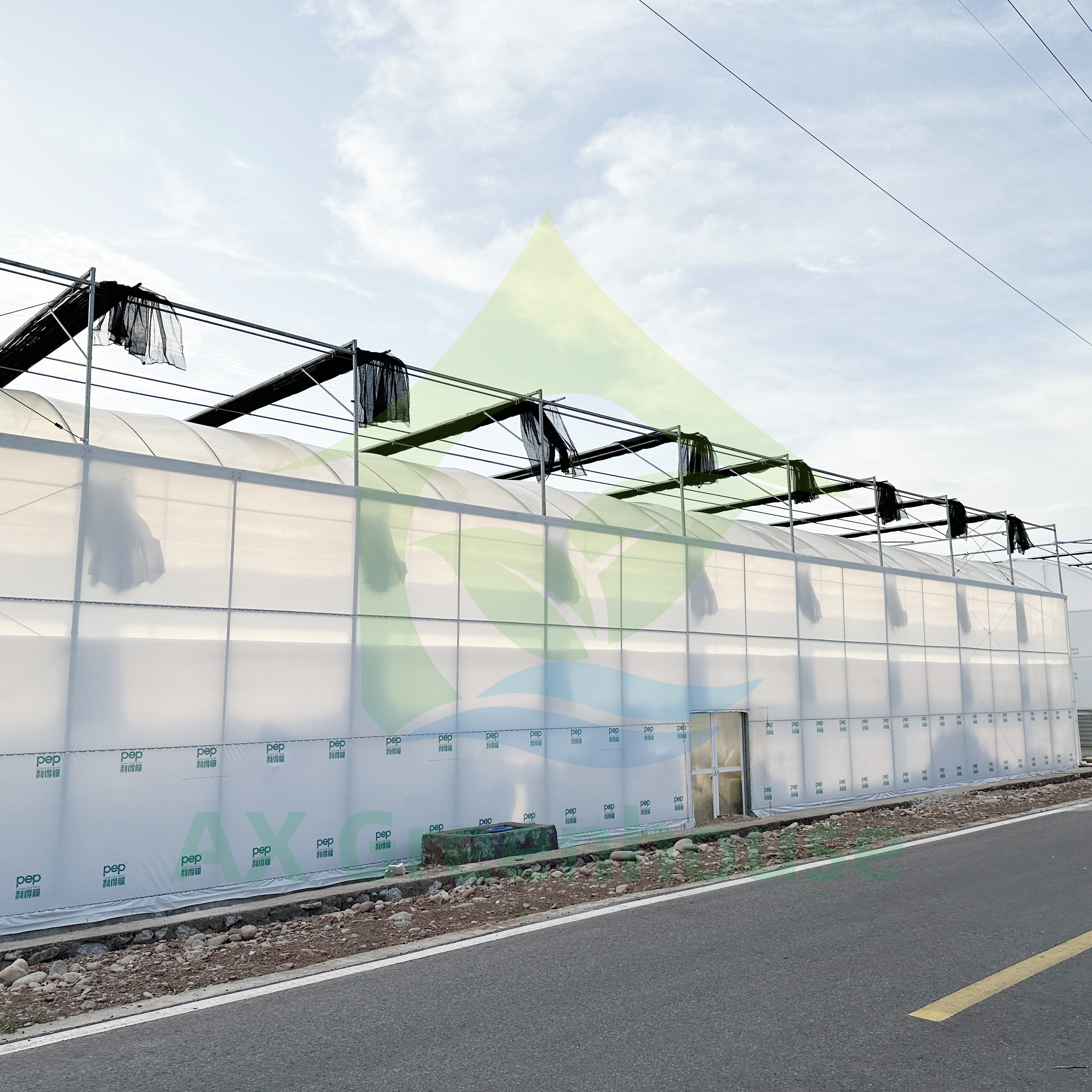 Poly Tunnel Plastic Film 200 Micron Multi-span Customized Agricultural Greenhouse