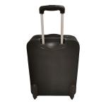 170T Polyester ODM Green EVA Trolley Luggage Set